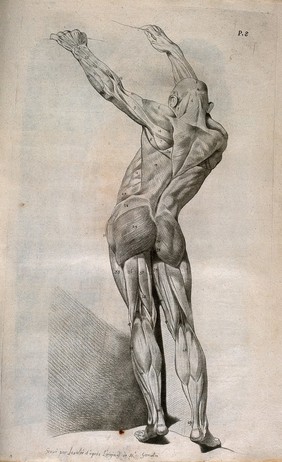 A standing écorché figure, seen from behind, reaching upwards with raised arms and gripping the top of a wall. Crayon manner print by Lavalée, after J. Gamelin, 1778/1779.