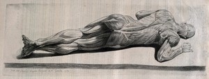 view An écorché figure lying on its side, almost prone. Crayon manner print by Lavalée after J. Gamelin, 1779.