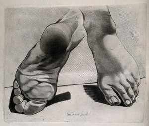 view Foot: two figures, showing views of the upper and lower surfaces of the foot. Crayon manner print by Lavalée after J. Gamelin, 1778/1779.