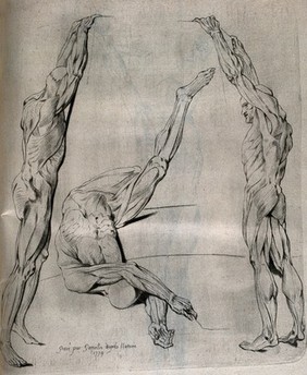 Three écorché figures: two are shown standing with arms upstretched, gripping a wall, while the central figure lies twisted on the floor. Crayon manner print by J. Gamelin after himself, 1779.