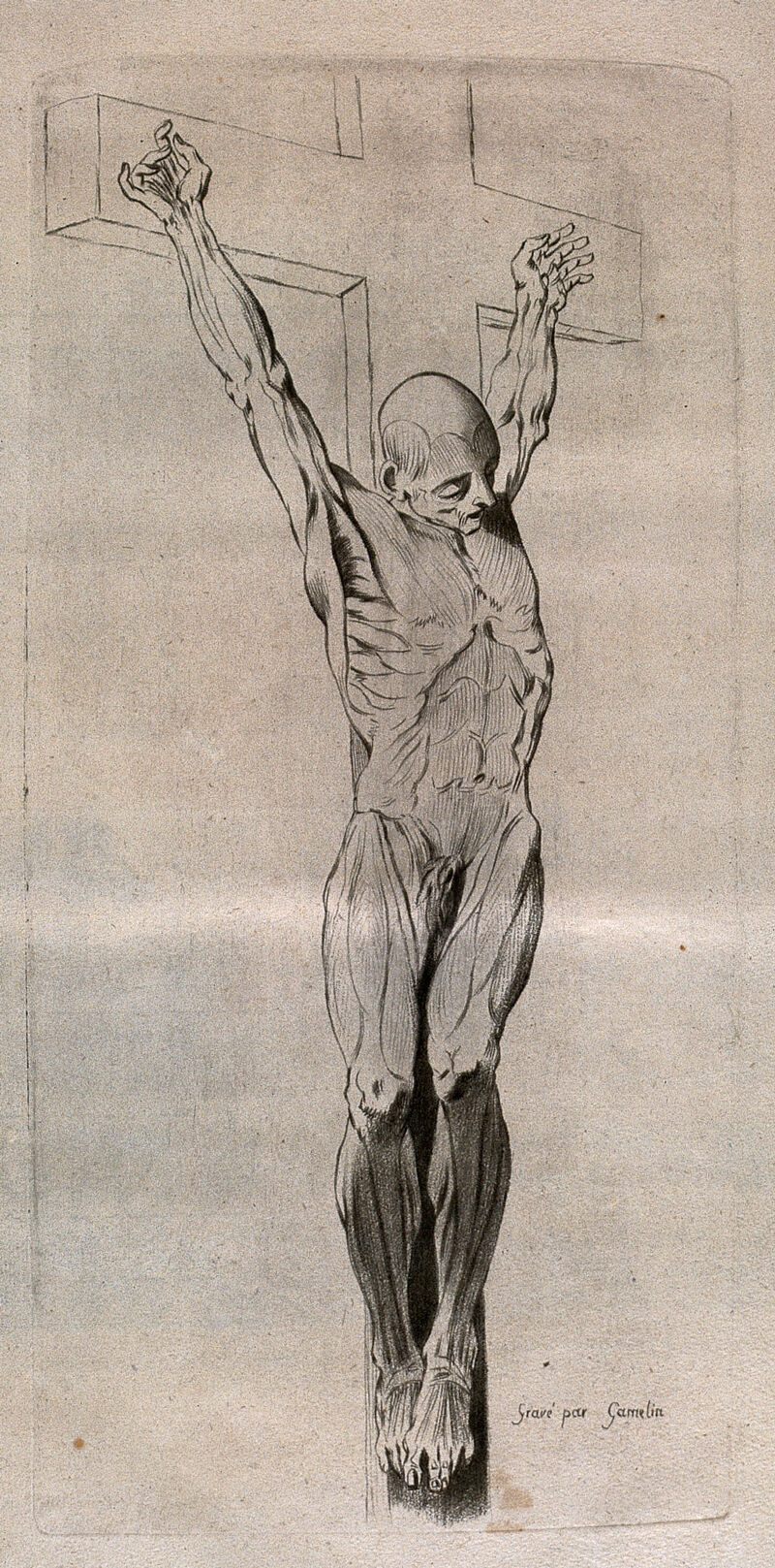 A crucified écorché figure. Crayon manner print by J. Gamelin after himself, 1778/1779., [1779], by Jacques Gamelin
