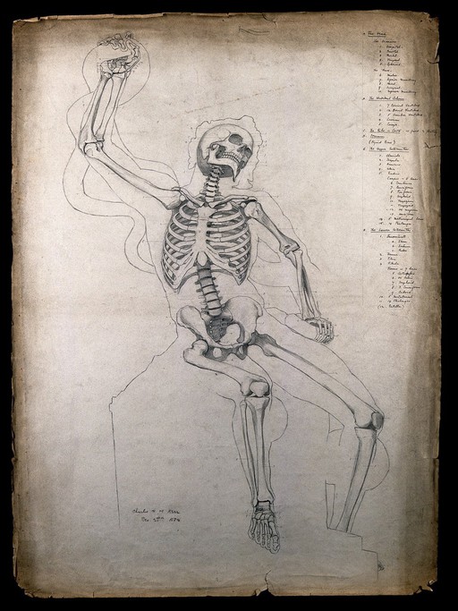 A seated skeleton, wrestling with a snake. Pencil drawing by C.H.M. Kerr, 1882.