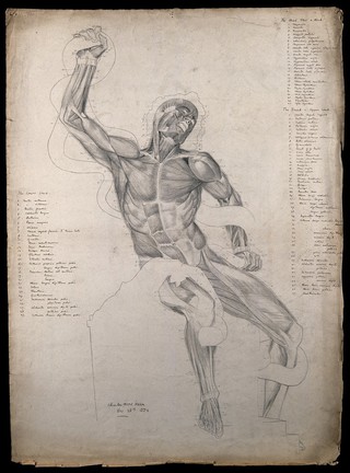 The écorché figure of Laocoön, wrestling with a snake. Pencil drawing by C.H.M. Kerr, 1882.