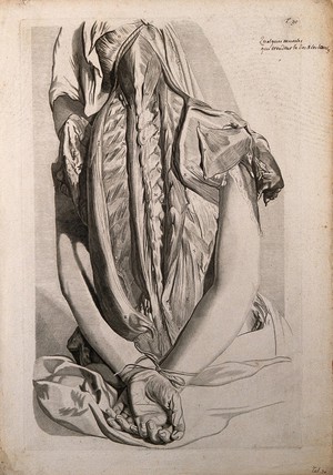 view The muscles of the back, with the hands tied together at the wrist. Engraving after G. de Lairesse, 1739.