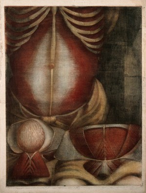 view Muscles of the abdomen: three écorchés figures. Colour mezzotint by J. F. Gautier d'Agoty after himself, 1745/1746.