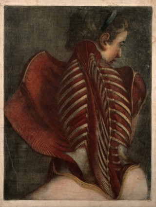 Muscles of the back: partial dissection of a seated woman, showing the bones and muscles of the back and shoulder. Colour mezzotint by J.F. Gautier d'Agoty, 1745/1746.
