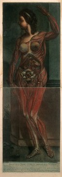 A pregnant female écorchée figure, standing with one arm raised above her head: the upper plate showing the head, trunk and upper limbs, the lower plate depicting the lower limbs and the contents of the thorax and abdomen. Colour mezzotint by J.F. Gautier D'Agoty after himself, 1770.