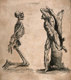 Two figures: a kneeling human skeleton, with hands tied behind its back, and an écorché figure tied to a tree-trunk. Engraving by Barlow, ca. 1800.