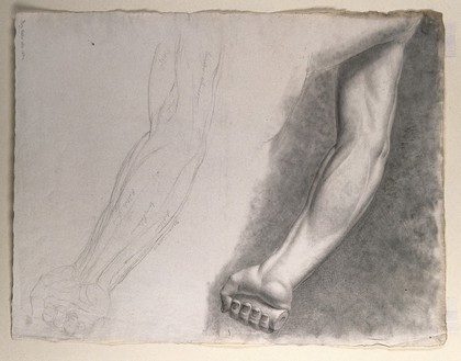 Arm and hand of the 'Borghese Gladiator' statue: drawing made from the statue originally sculpted by Agasias of Ephesus, with an outline diagram of the arm and its muscles, shown below. Pencil and chalk (?) drawing by J.C. Zeller (?), ca. 1839.