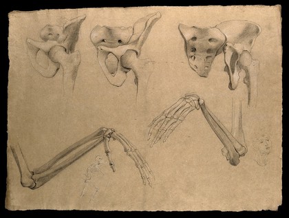 Bones of the pelvis, the hip joint, arm, elbow and hand, with small sketches depicting a skeleton and a face. Pencil drawing by J.C. Zeller, ca. 1833?.