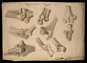 view Bones of the elbow joint: eight figures. Watercolour and pencil drawing by J.C. Whishaw, 1853.