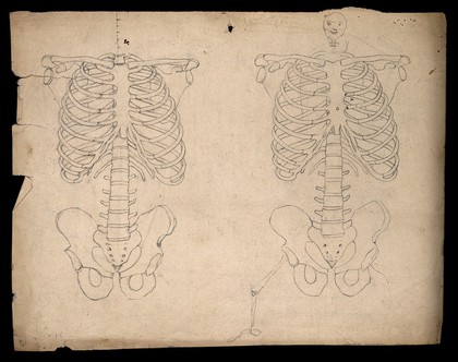 Bones of the torso: two figures showing the shoulders, ribcage, spine and pelvis, with a cartoon-style face. Pencil drawing, by J.C. Whishaw, 1852/1854.