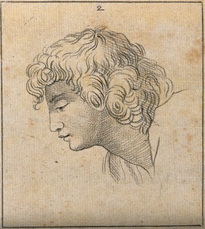 view An 'ideal head' shown to have slight idiosyncrasies in physiognomy. Drawing, c. 1789, after Raphael.