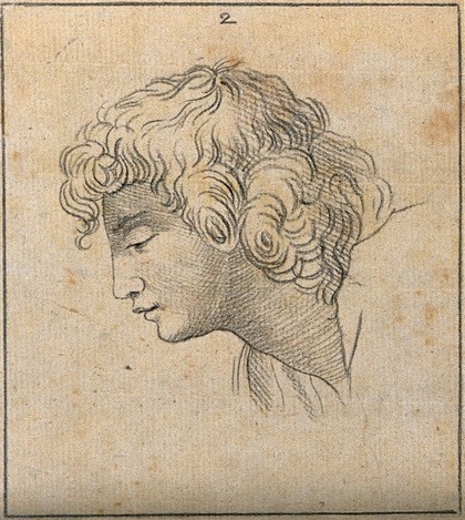An 'ideal head' shown to have slight idiosyncrasies in physiognomy. Drawing, c. 1789, after Raphael.