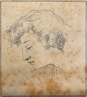 An 'ideal head' shown to have slight idiosyncrasies in physiognomy. Drawing, c. 1789, after Raphael.