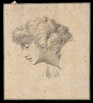 view An 'ideal head' shown to have slight idiosyncrasies in physiognomy. Drawing, c. 1789, after Raphael.