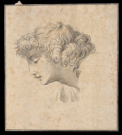 An 'ideal head' shown to have slight idiosyncrasies in physiognomy. Drawing, c. 1789, after Raphael.