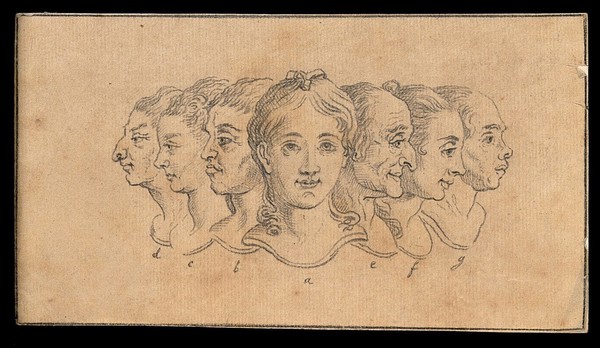Seven portraits of women, compared for their beauty and prudence. Drawing, c. 1789.
