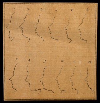 Outlines of twelve faces in profile. Drawing, c. 1789.