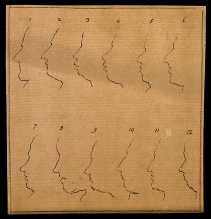 Outlines of twelve faces in profile. Drawing, c. 1789.