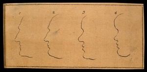 view Outlines of faces: the left-hand pair expressing good judgment, the right-hand pair weakness of mind. Drawing, c. 1789.