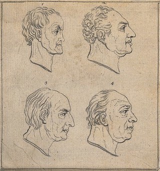 Four physiognomic profiles: clockwise from top left: a timid man, a man of good taste, a prudent observer, and a sensualist. Drawing, c. 1789.