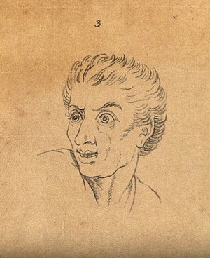 view Six physiognomies. Drawing, c. 1789, after C. Le Brun.