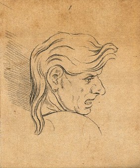 Six physiognomies. Drawing, c. 1789, after C. Le Brun.