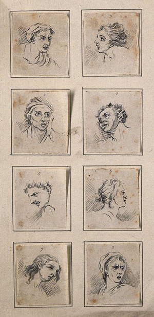 view Eight physiognomies. Drawings by D.N. Chodowiecki, ca. 1789, after C. Le Brun.