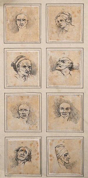 view Eight physiognomies. Drawings, c. 1789, after D.N. Chodowiecki and C. Le Brun.