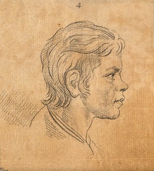 view A youth whose physiognomy attests to unrefinability and obstinate weakness. Drawing, c. 1789, after D.N. Chodowiecki.