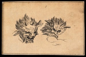 view Two demonic physiognomies, expressive of malignity. Drawing, c. 1789.