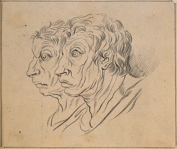 Two physiognomies showing hybrids of man and ox. Drawing, c. 1789, after C. Le Brun.