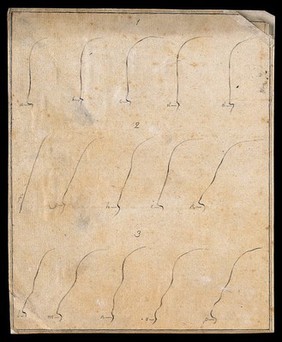 Fifteen contours of foreheads. Drawing, c. 1789.