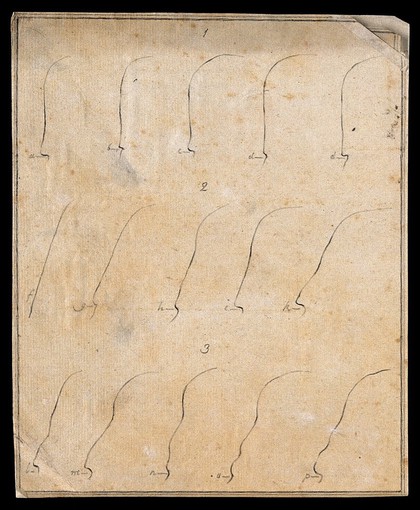 Fifteen contours of foreheads. Drawing, c. 1789.