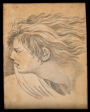 view Head of an angel. Drawing, c. 1791, after Raphael.