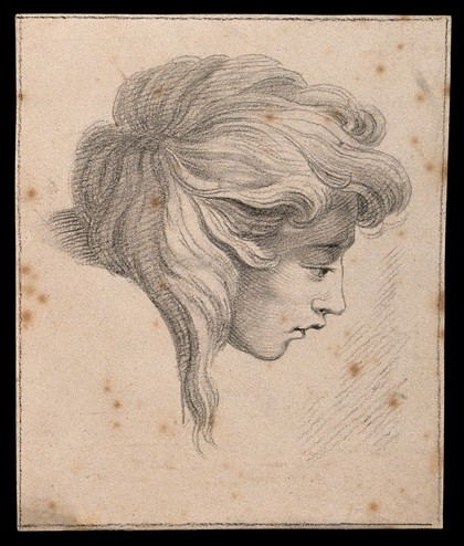 Profile of a boy which, according to Lavater, exemplifies Raphael's approach to noses and chins in profile. Drawing, c. 1791, after Raphael.