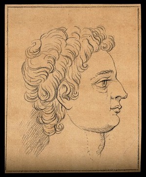 view Right profile of a boy exemplifying ancient Greek male beauty. Drawing, c. 1791.