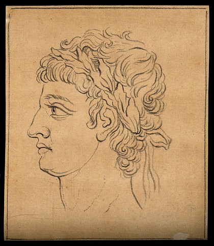 Left profile of a boy exemplifying ancient Greek male beauty. Drawing, c. 1791.