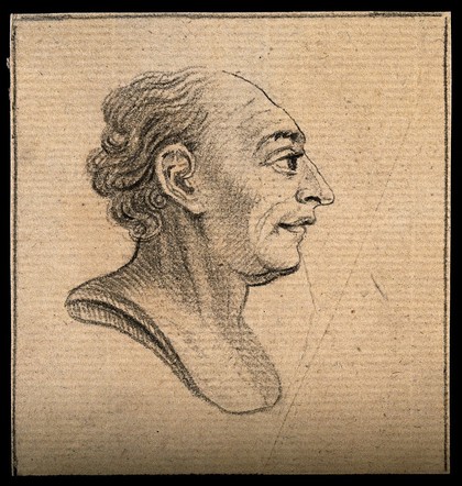A bust showing a phlegmatic-sanguine temperament. Drawing, c. 1792.