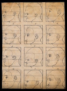 Twelve human profiles in outline, sectioned to show their disproportion. Drawing, c. 1794, after A. Dürer.