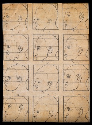 view Twelve human profiles in outline, sectioned to show their disproportion. Drawing, c. 1794, after A. Dürer.