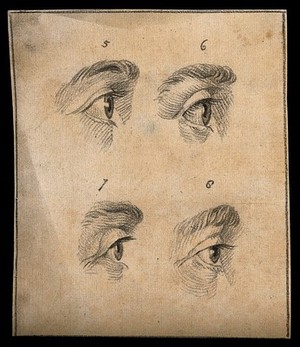 view Four eyes. Drawing, c. 1794.