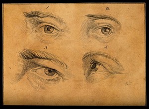 view Four eyes. Drawing, c. 1794.