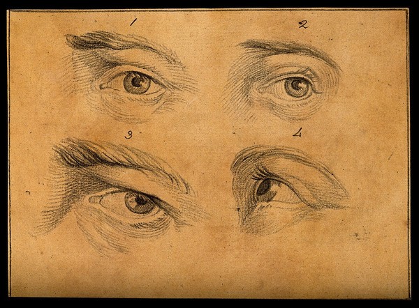 Four eyes. Drawing, c. 1794.