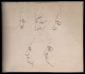 view Five profiles exhibited for their noses. Drawing, c. 1794.