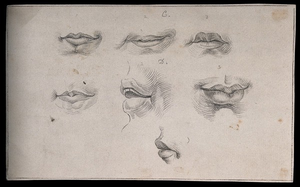 Seven mouths. Drawing, c. 1793.