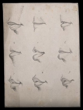 Nine mouths. Drawing, c. 1793.