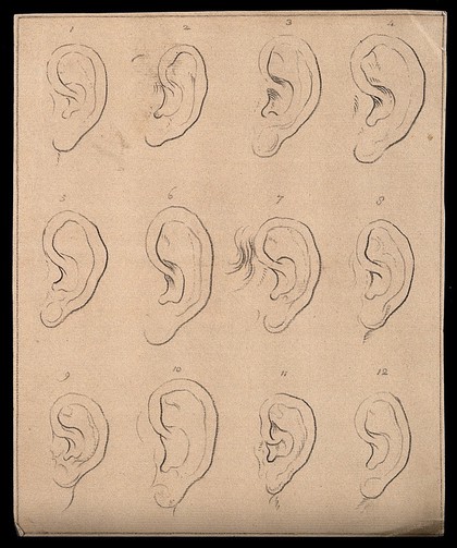 Twelve ears. Drawing, c. 1793.