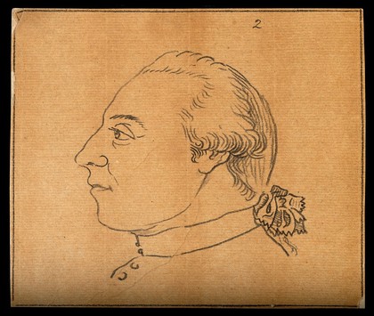 Profile of a man deemed by Lavater to be good and gentle. Drawing, c. 1793.